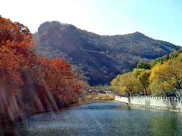 正版澳门天天开彩大全，松香报价